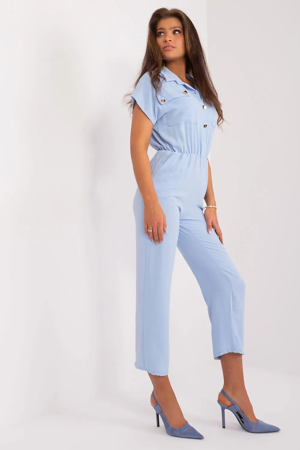 Sleek Sophistication Short Sleeve Jumpsuit